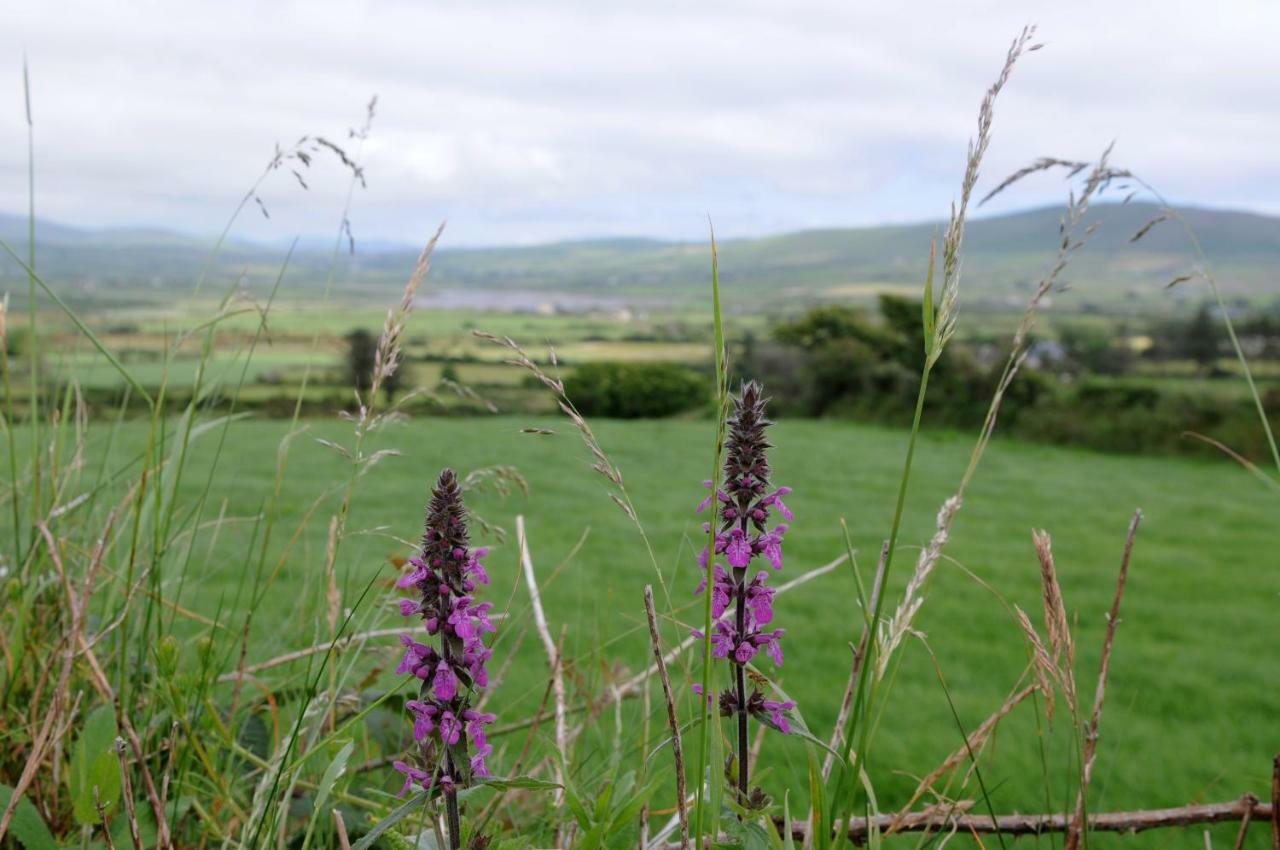 Short Strand Dingle Emlagh East Eksteriør billede
